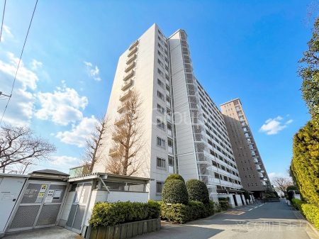 ���n�O�ώʐ^�@����z���ł��Ƒ��̏Ί���P��