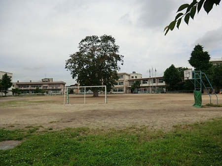 ���ӊ��@���w�Z 950m �{�㒬���{�ꏬ�w�Z