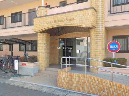 �G���g�����X�@-