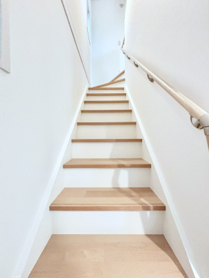 ���̑��@�K�i�͎肷��t���Ȃ̂ŏ����Ȃ��q���܂₲����̕������S�ł�