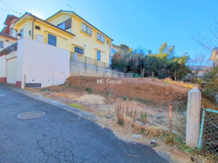 ���n�y�n�ʐ^�@-