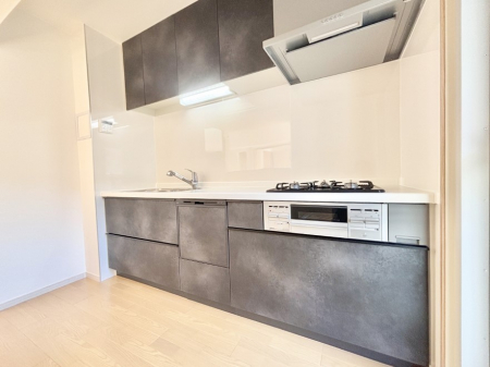 �L�b�`���@�������������I�ɁA�y�����I�V�X�e���L�b�`��