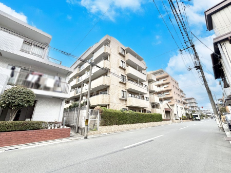 ���n�O�ώʐ^�@����z���ł��Ƒ��̏Ί���P�� 