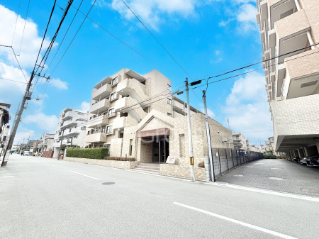 ���n�O�ώʐ^�@��������n�܂�V�����������������܂�