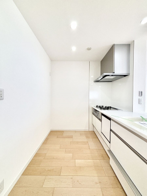 �L�b�`���@��Ƃ肠��L�b�`���X�y�[�X�ł�������H��̌�Еt�����X���[�Y�ɁI