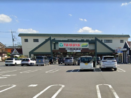 ���ӊ��@�X�[�p�[ 650m TAIRAYA �����X