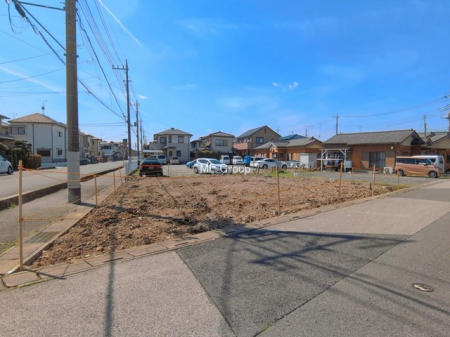 ���n�y�n�ʐ^�@-