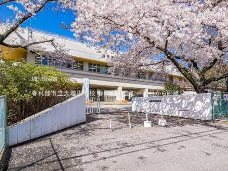 ���ӊ��@���w�Z 1280m �t�����s���呝���w�Z