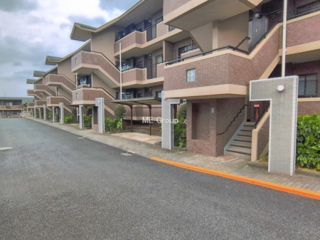 �G���g�����X�@-