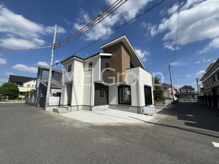 ���n�O�ώʐ^�@��������n�܂�V�����������������܂�