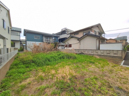 ���n�y�n�ʐ^�@-