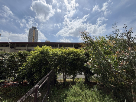 ���̑��@�S�n�悢����������ꂻ���Ȓ��]�ł�