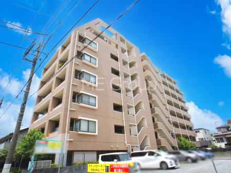 ���n�O�ώʐ^�@��������n�܂�V�����������������܂�