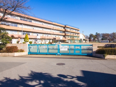 ���ӊ��@���w�Z 2000m �@�c�s�����l�����w�Z