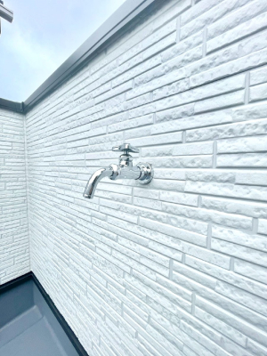 ���̑����ρ@�o���R�j�[����������΂��|�����y�X�ł��B    