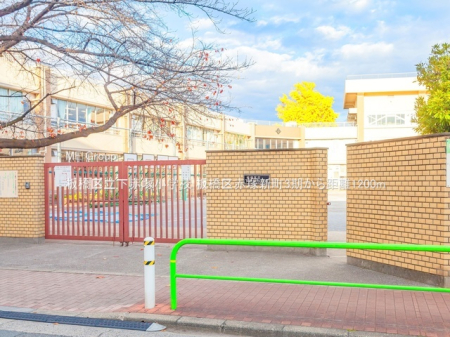 ���ӊ��@���w�Z 1200m ���旧���Ԓˏ��w�Z