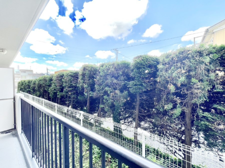 ���̑��@�o���R�j�[����̒��]�ł�