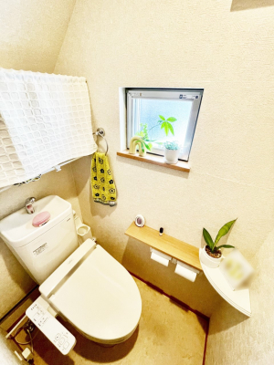 ���̑����ρ@�O���K�X�R�����ł���������C�ɂ͂��ǂ肻��  