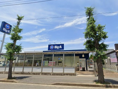���ӊ��@�X�[�p�[ 1100m �r�b�O�E�G�[ �䑷�q�Ζk��X