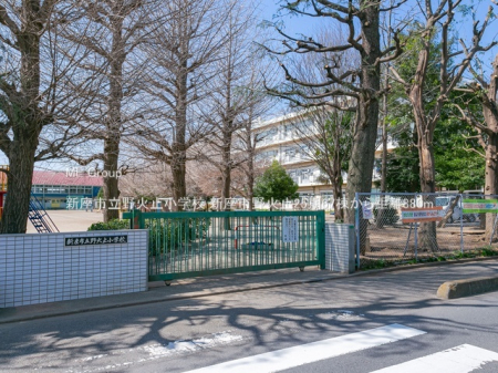 ���ӊ��@���w�Z 880m �V���s����Ύ~���w�Z